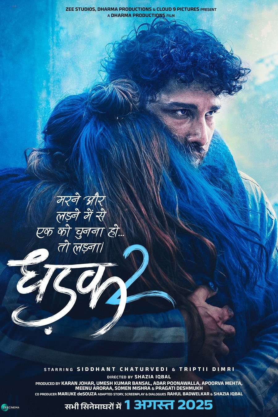 L'affiche du film Dhadak 2