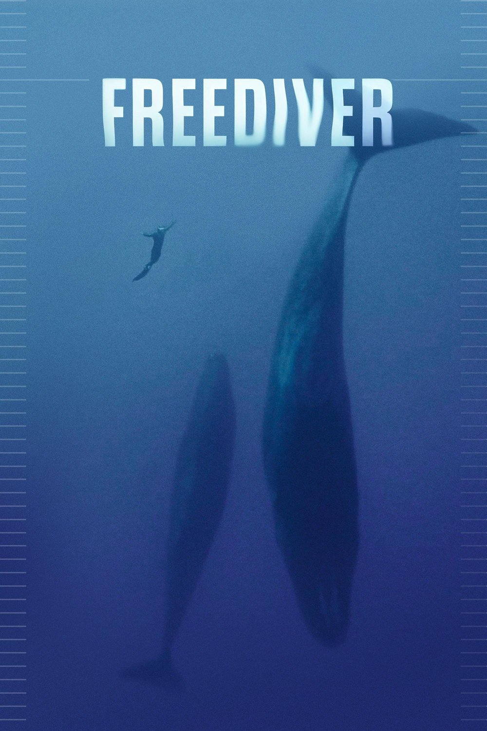 Poster of the movie Freediver [2024]