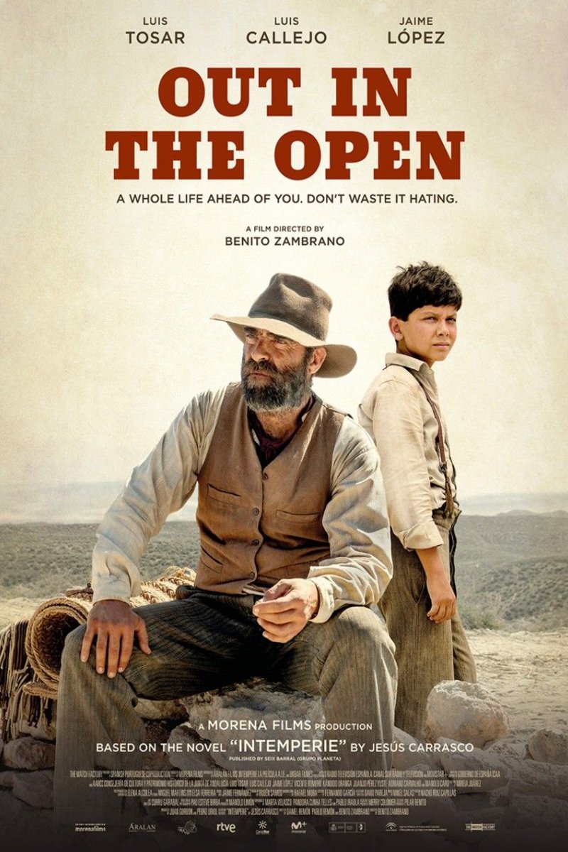 Poster of the movie Out in the Open