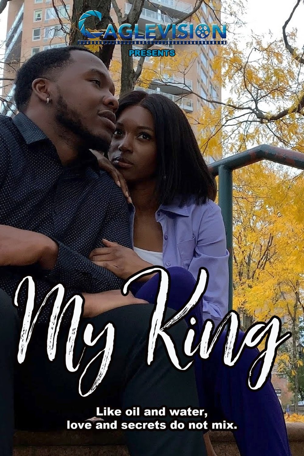 L'affiche du film My King