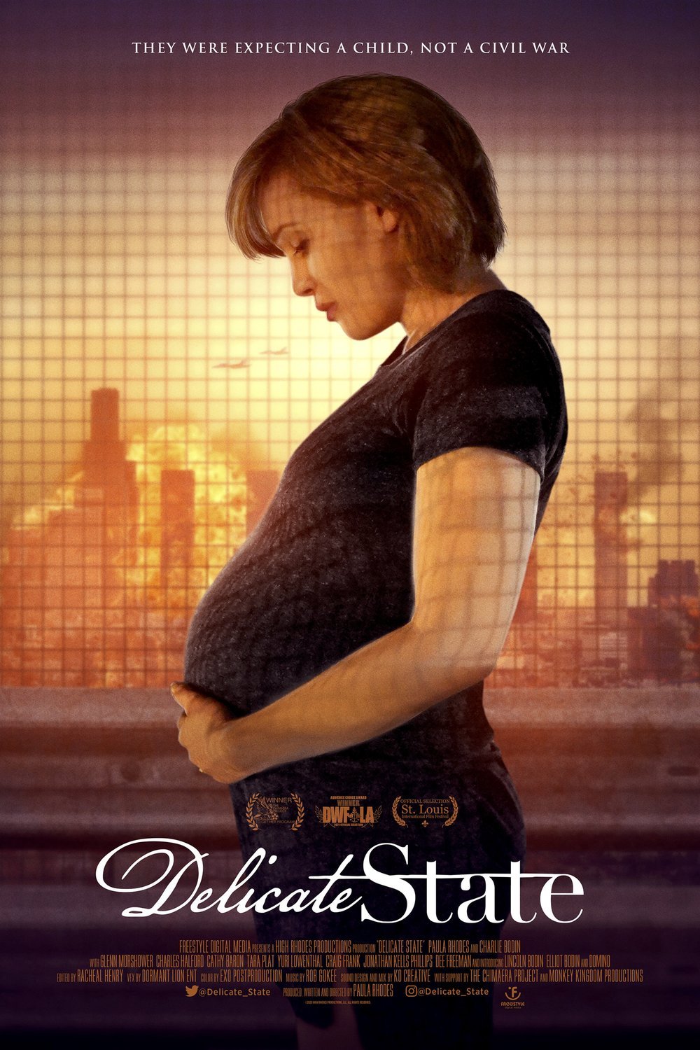 L'affiche du film Delicate State