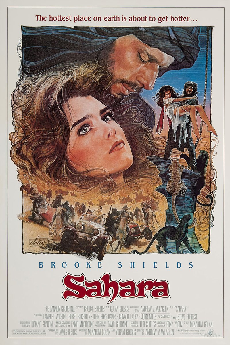 L'affiche du film Sahara