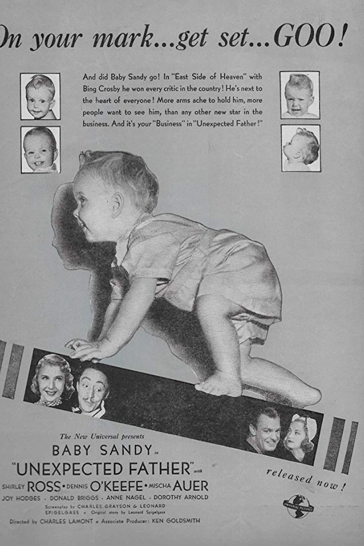 L'affiche du film Unexpected Father