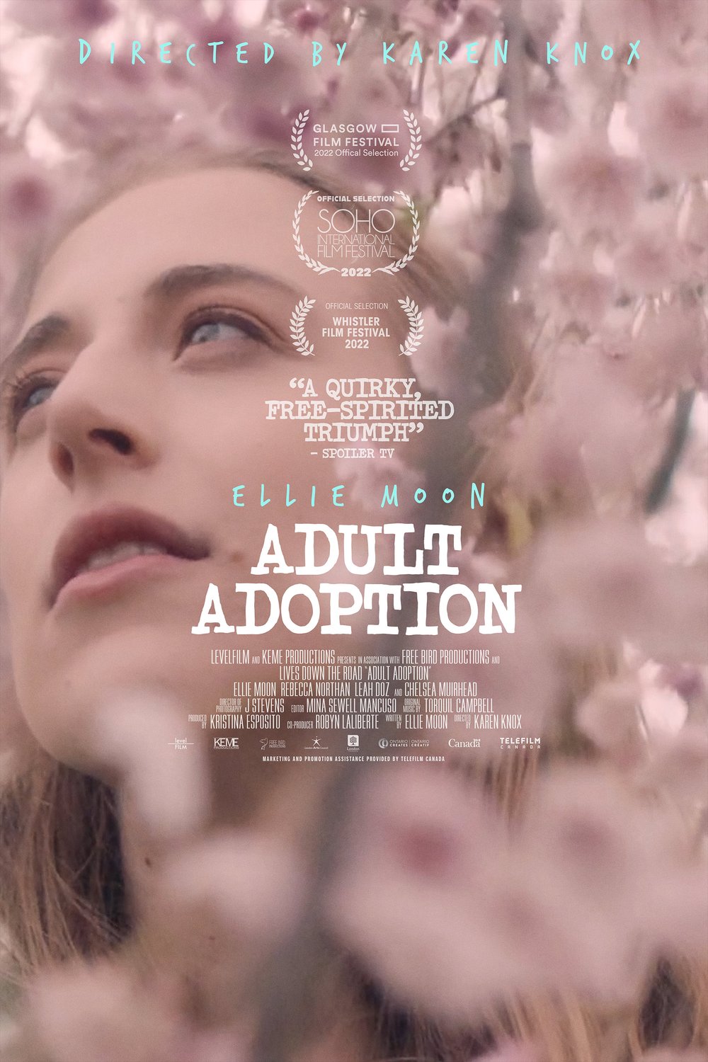 L'affiche du film Adult Adoption