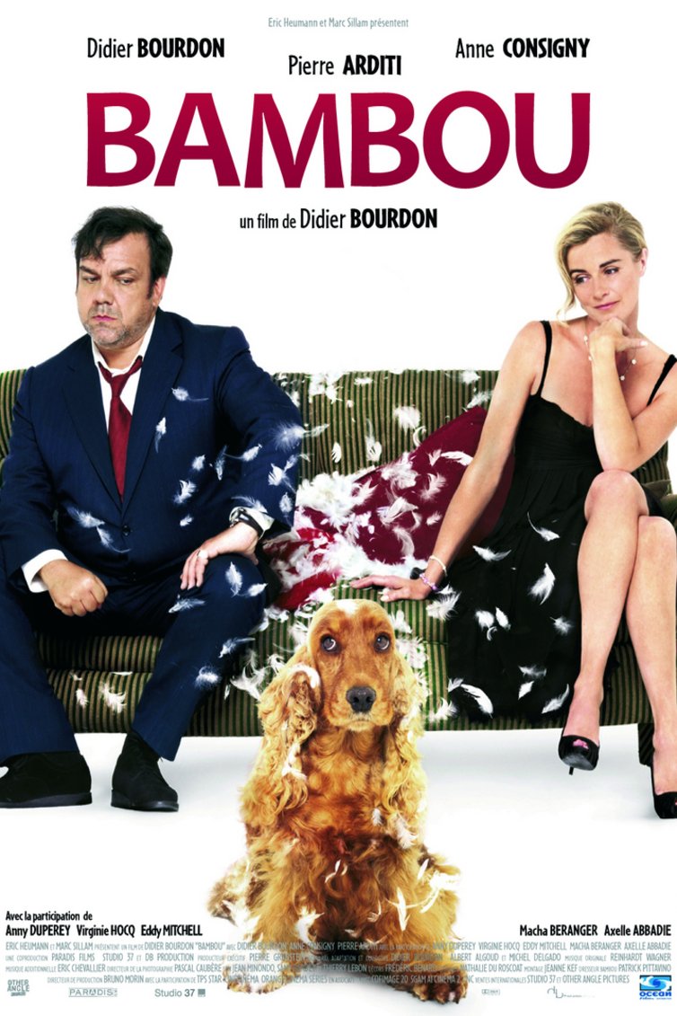 L'affiche du film Bambou