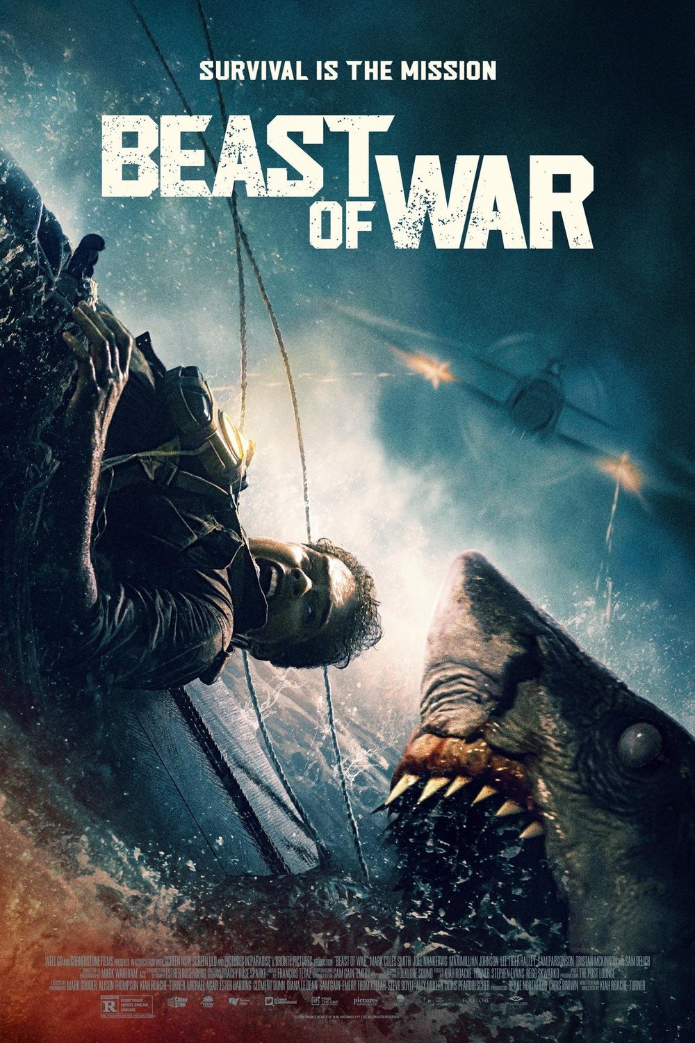 L'affiche du film Beast of War