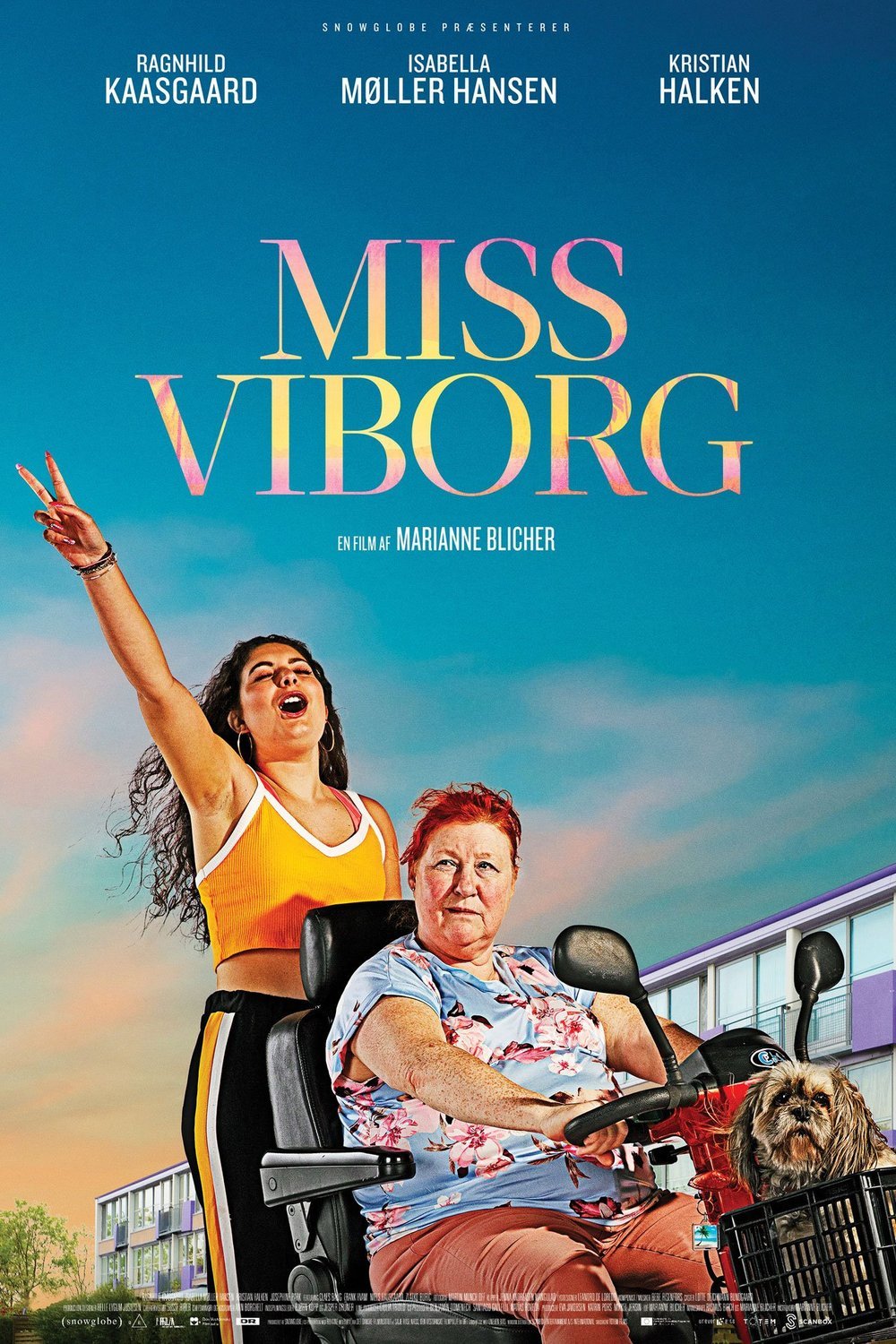 L'affiche du film Miss Viborg
