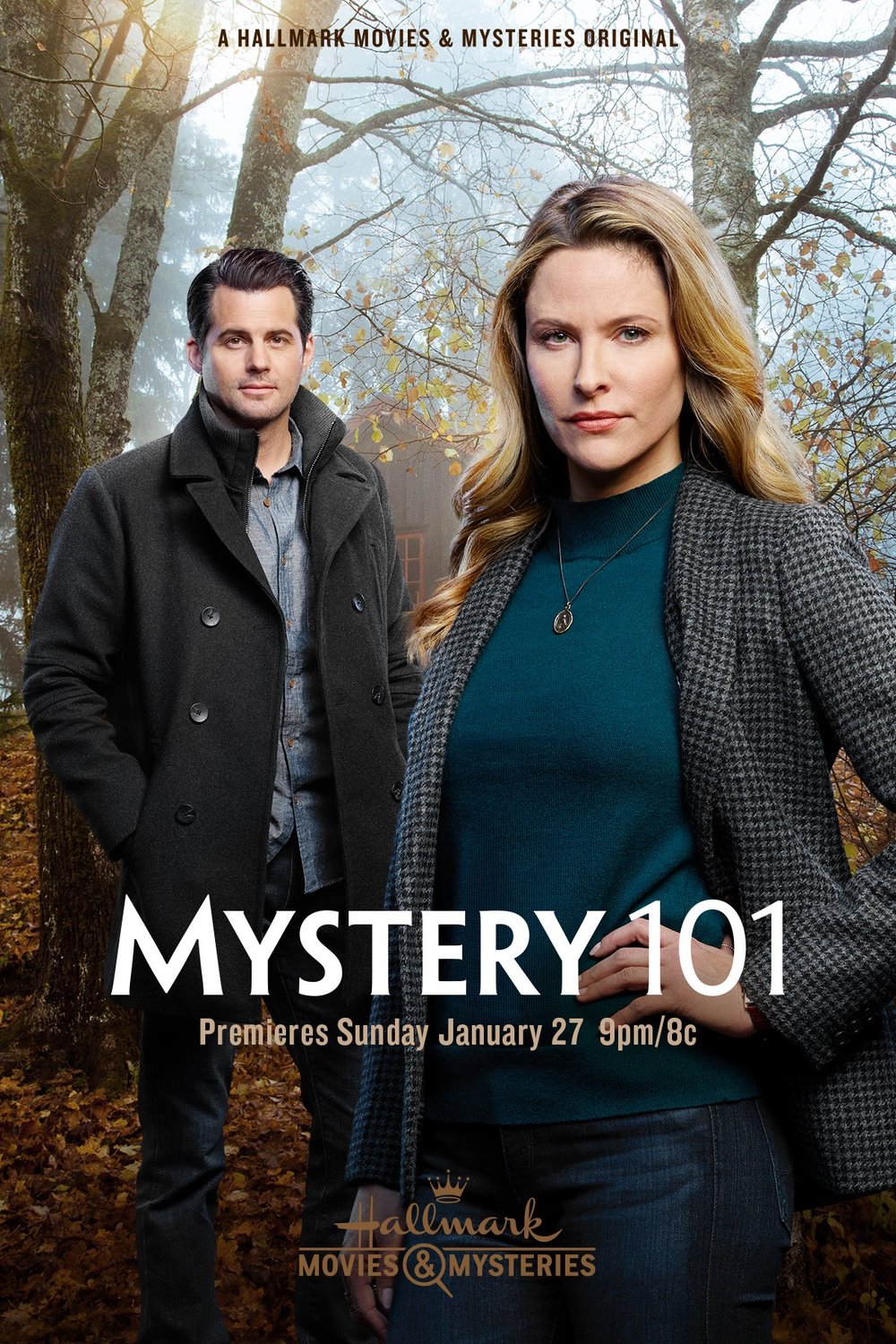 L'affiche du film Mystery 101