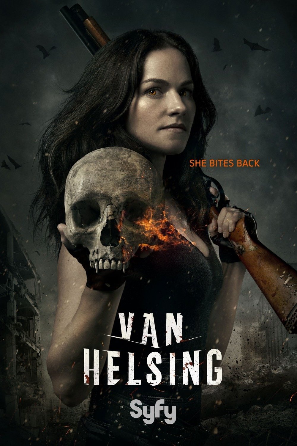 L'affiche du film Van Helsing