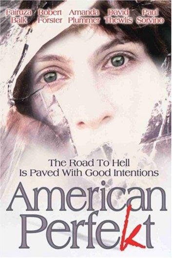 L'affiche du film American Perfekt