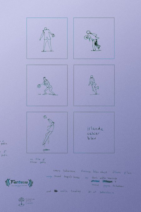 L'affiche du film Irlande Cahier Bleu