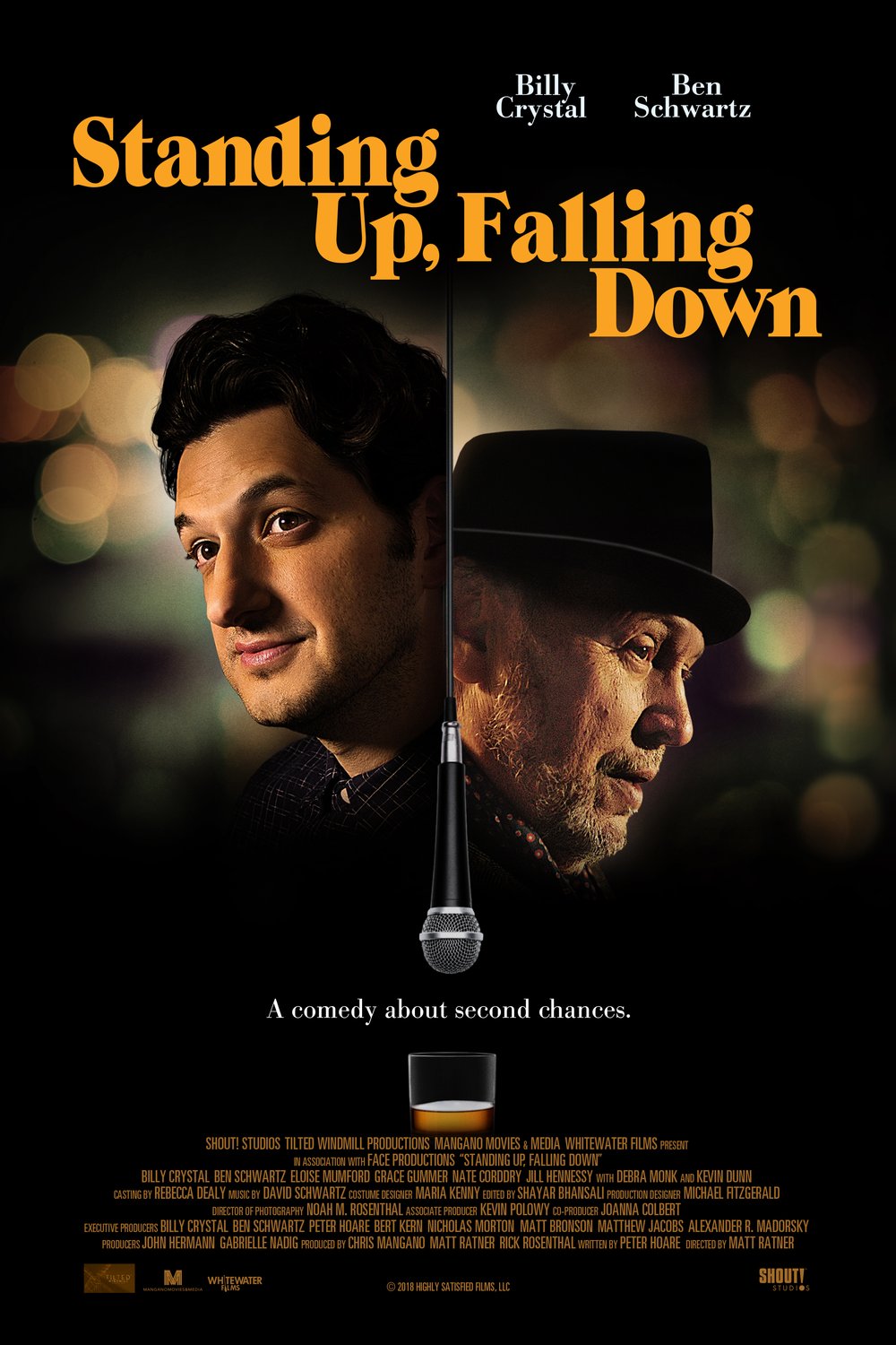 L'affiche du film Standing Up, Falling Down