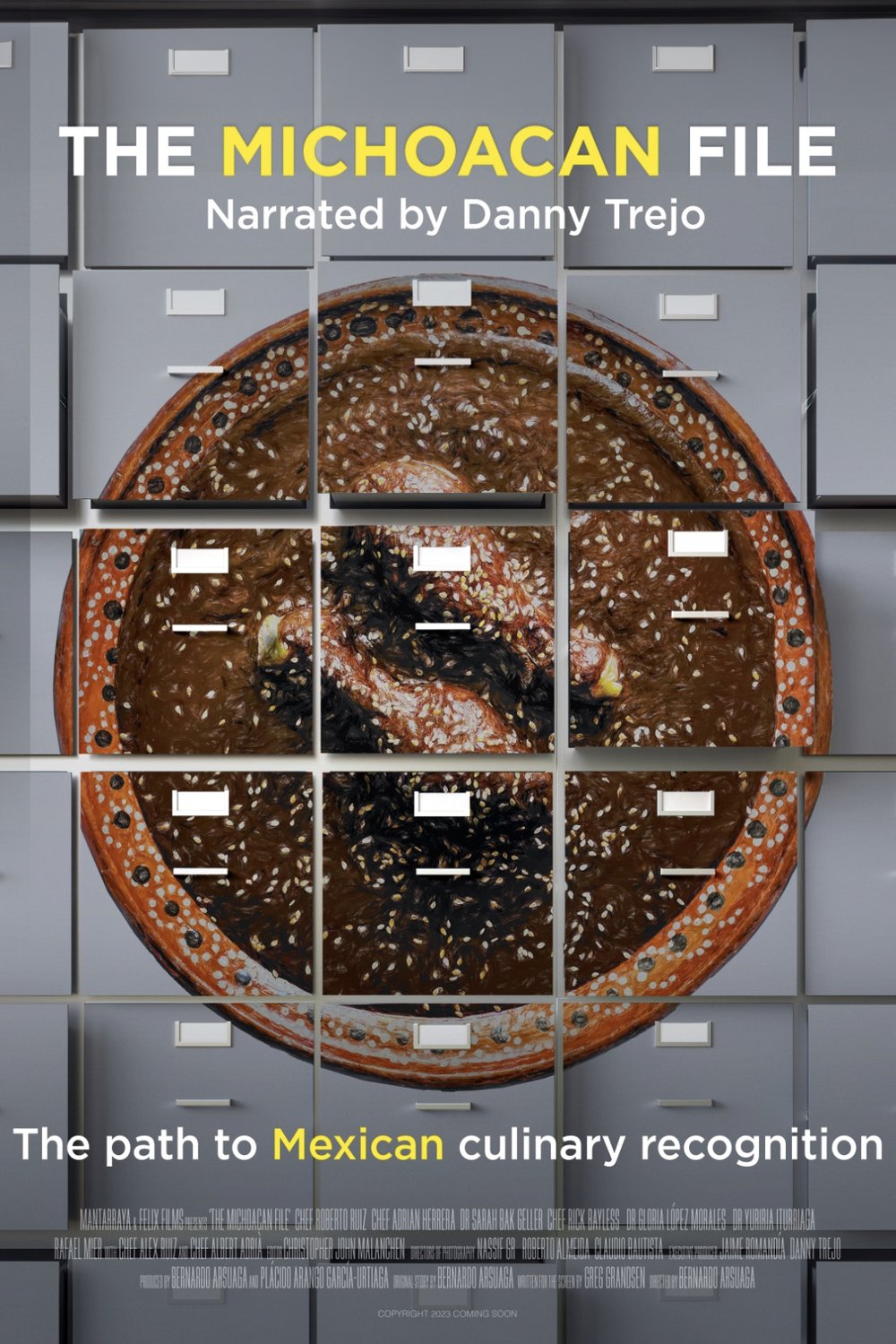 L'affiche du film The Michoacan File