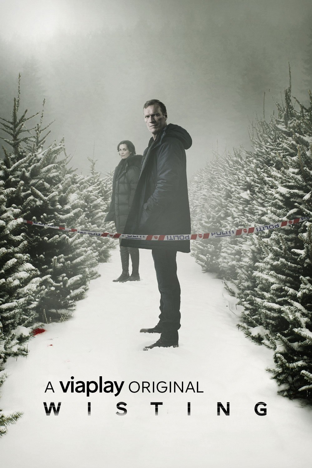 L'affiche du film Wisting