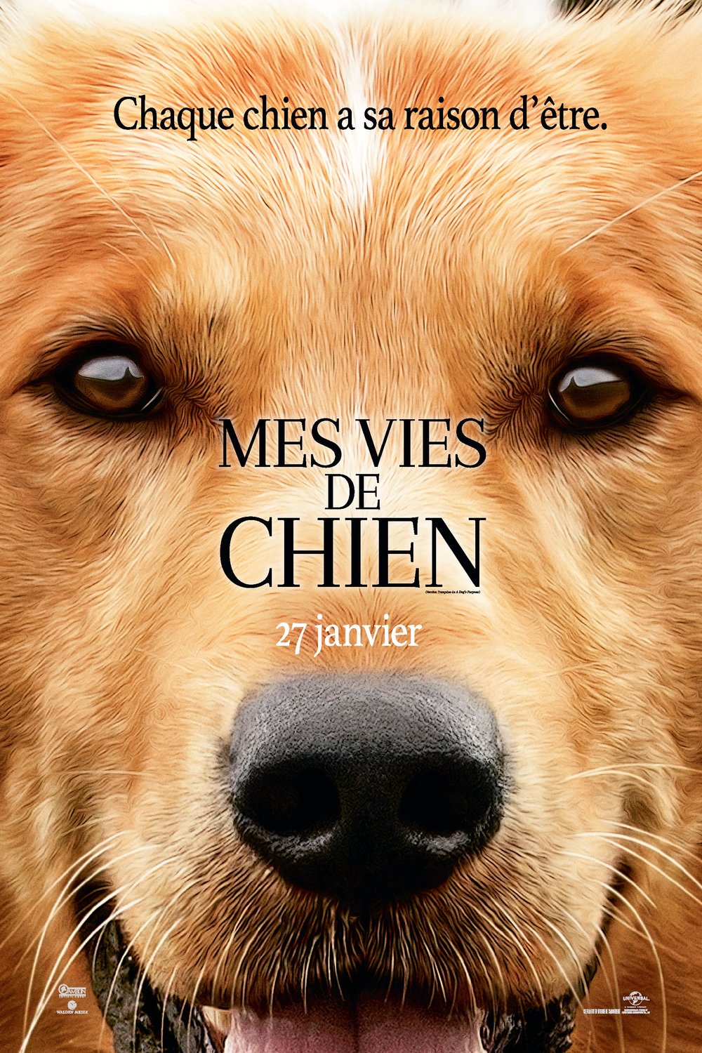 L'affiche du film Mes vies de chien