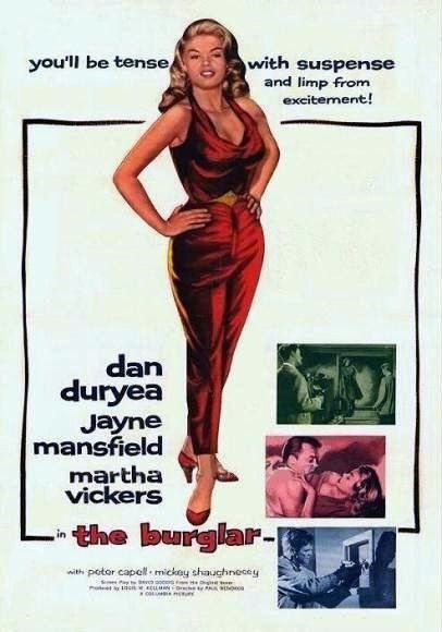 L'affiche du film The Burglar