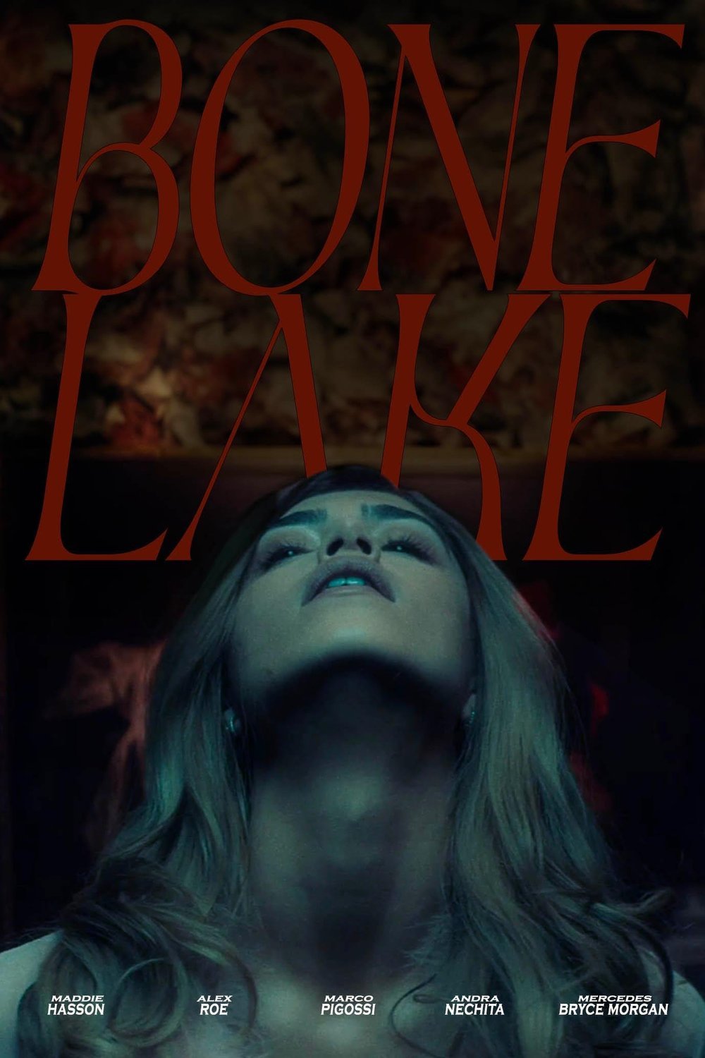 L'affiche du film Bone Lake