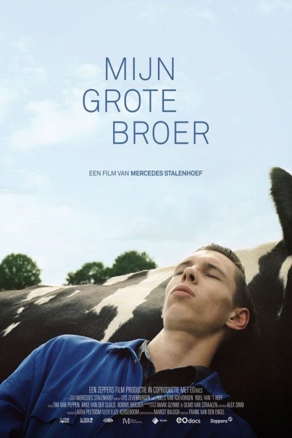 L'affiche du film Mijn grote broer
