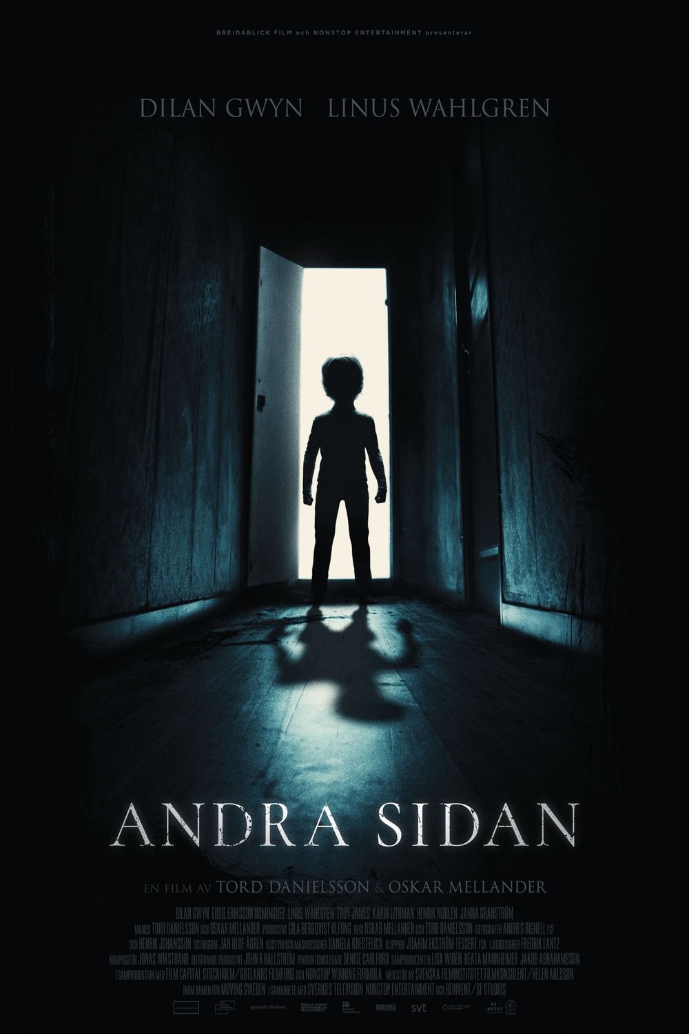 L'affiche du film Andra sidan