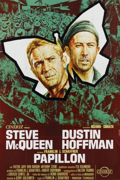 L'affiche du film Papillon