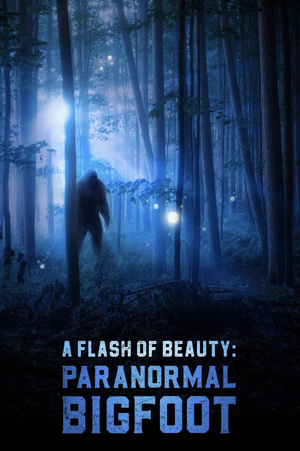 L'affiche du film A Flash of Beauty: Paranormal Bigfoot