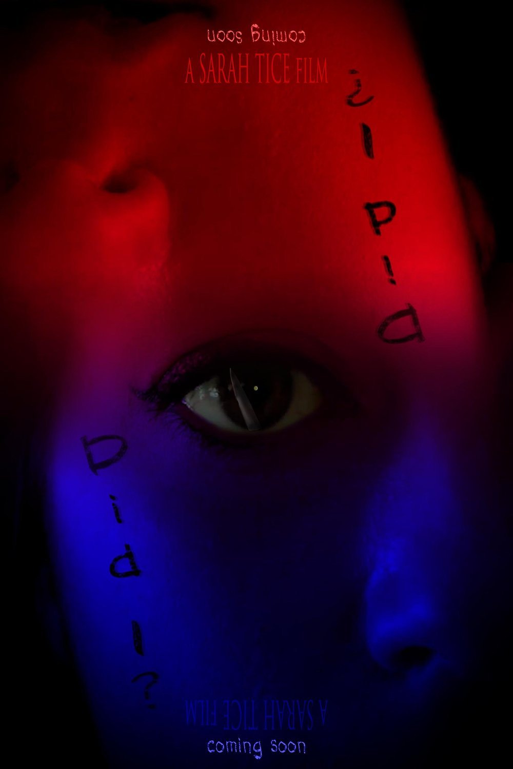 L'affiche du film DID I?