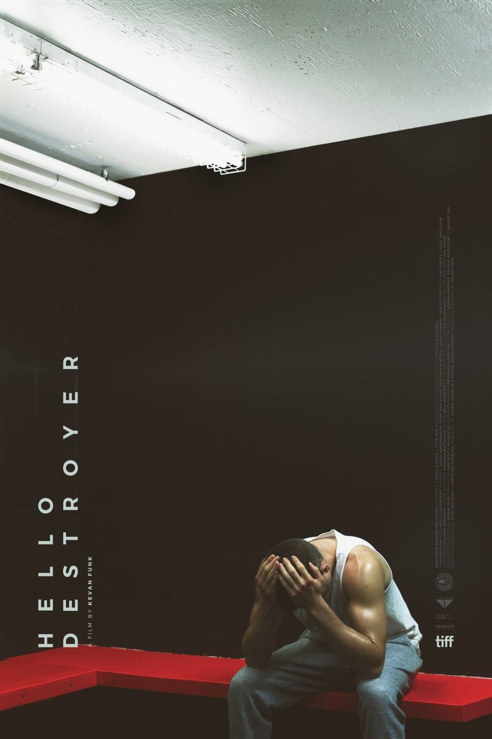L'affiche du film Hello Destroyer