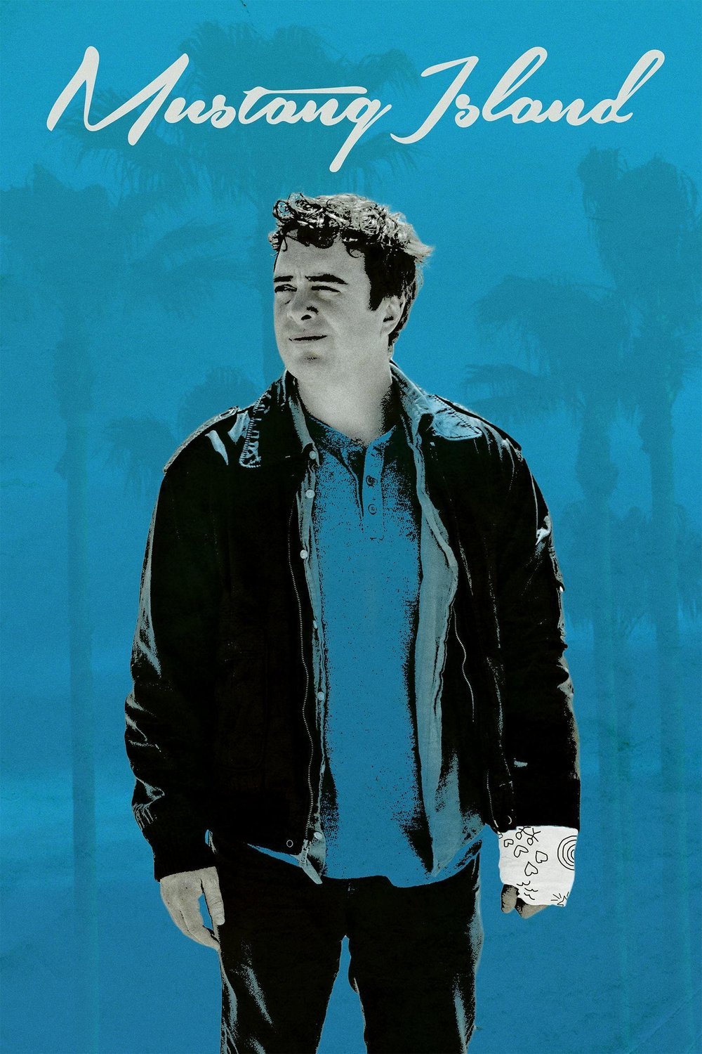 L'affiche du film Mustang Island
