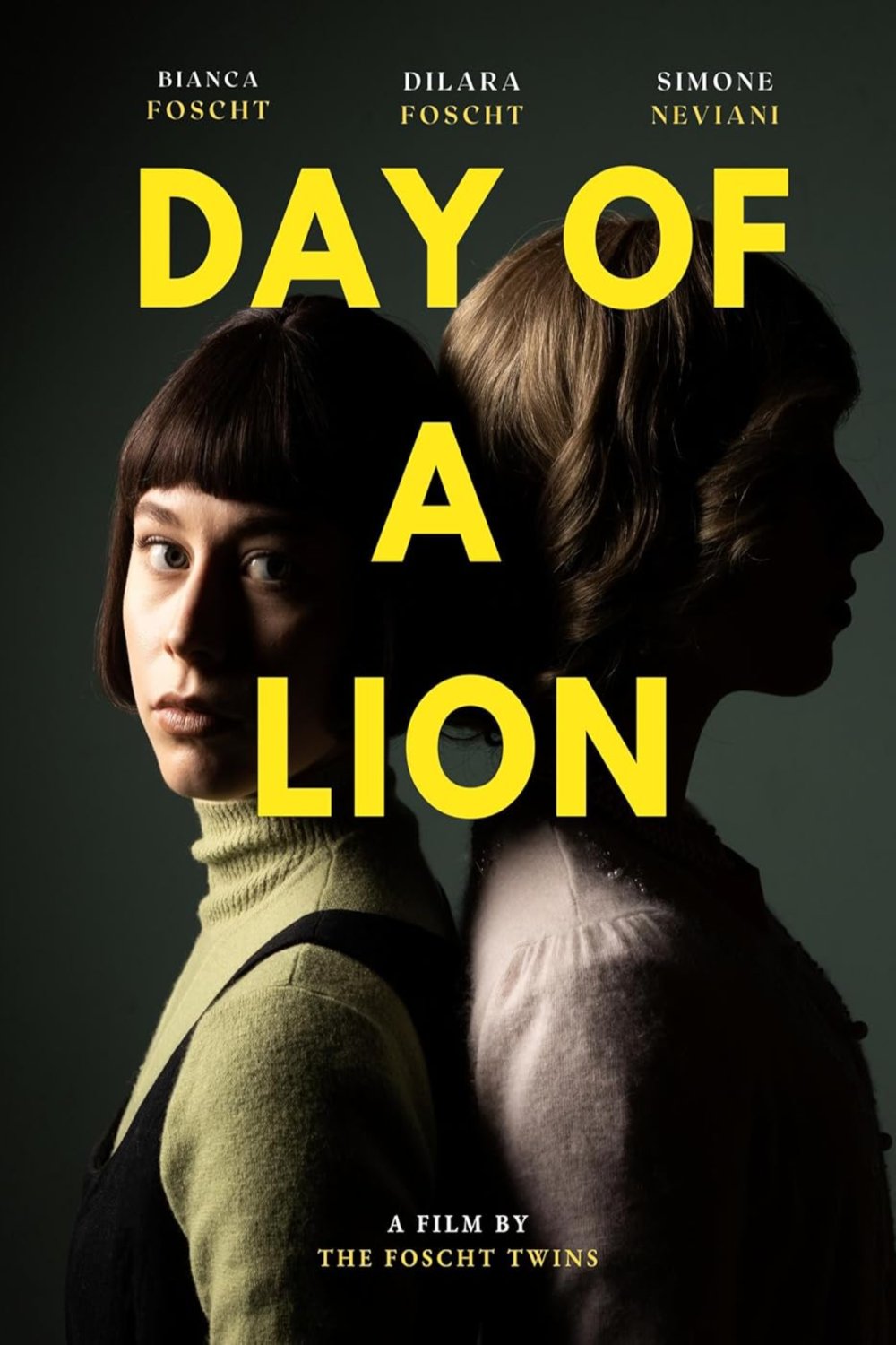 L'affiche du film Day of a Lion