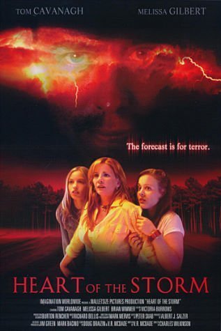 L'affiche du film Heart of the Storm