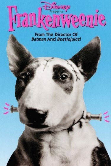 Poster of the movie Frankenweenie