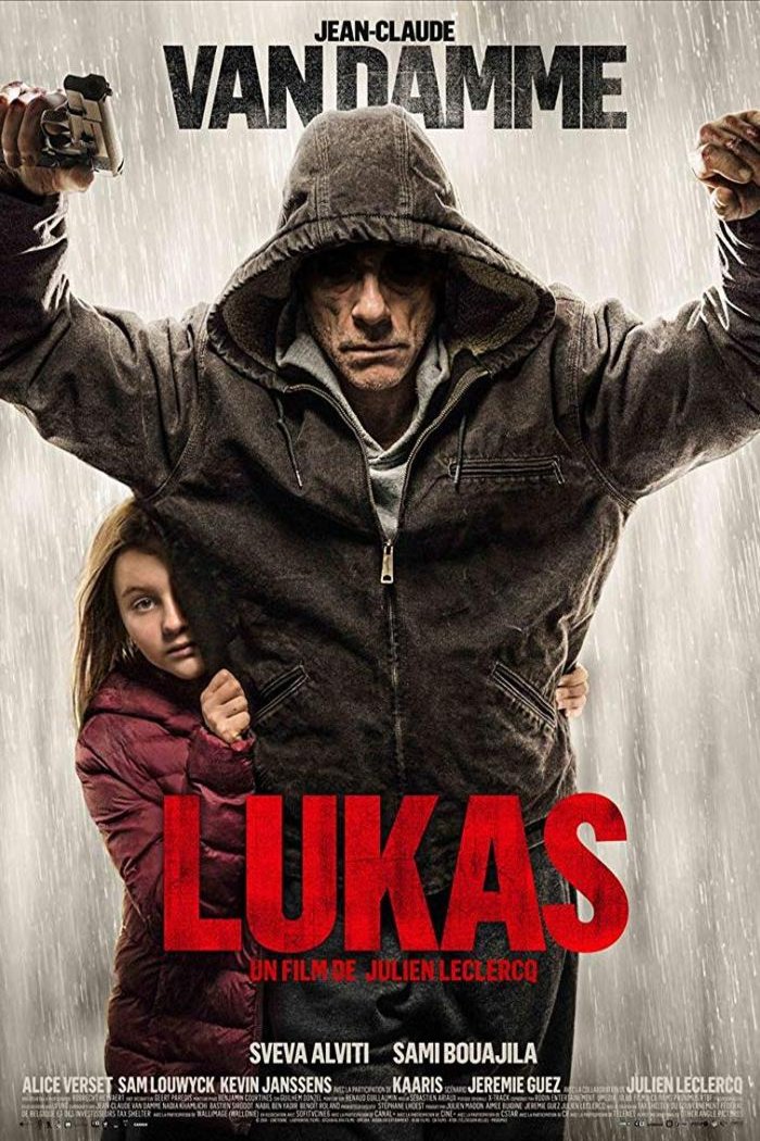 L'affiche du film Le Protecteur