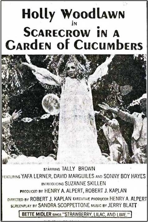 L'affiche du film Scarecrow in a Garden of Cucumbers