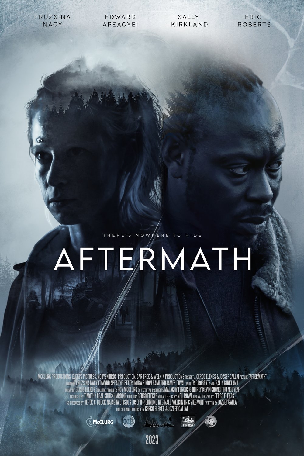 L'affiche du film Aftermath