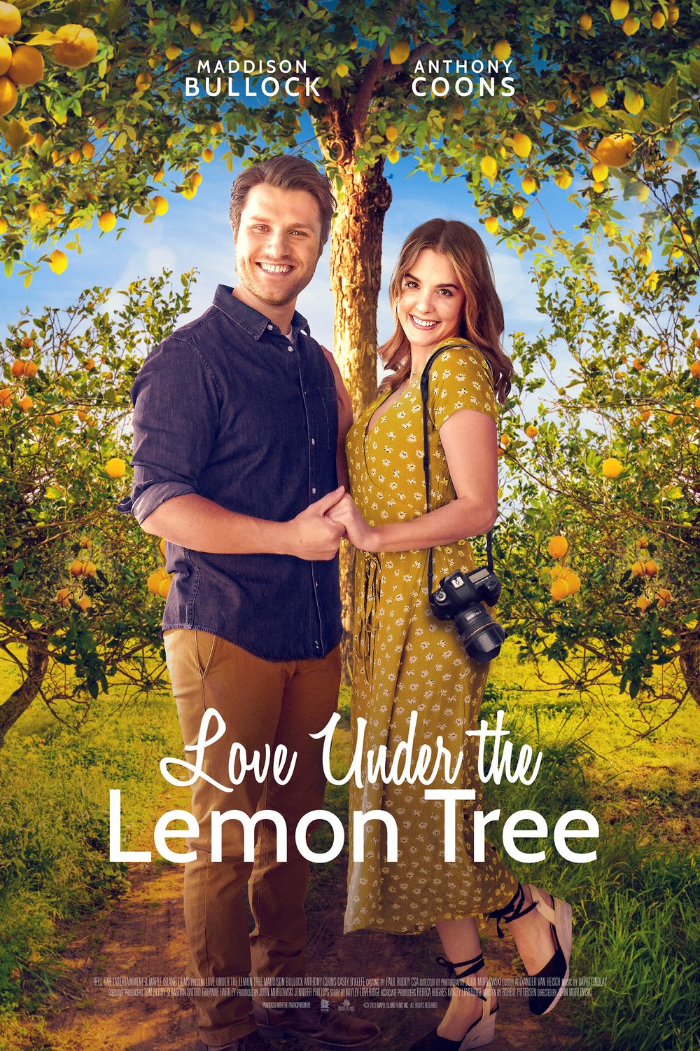 L'affiche du film Love Under the Lemon Tree