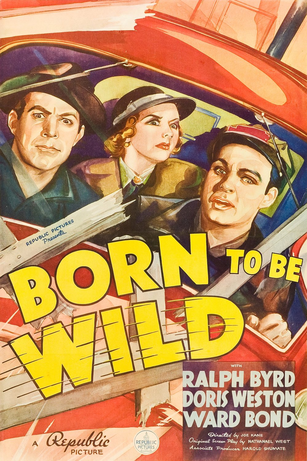 L'affiche du film Born to Be Wild