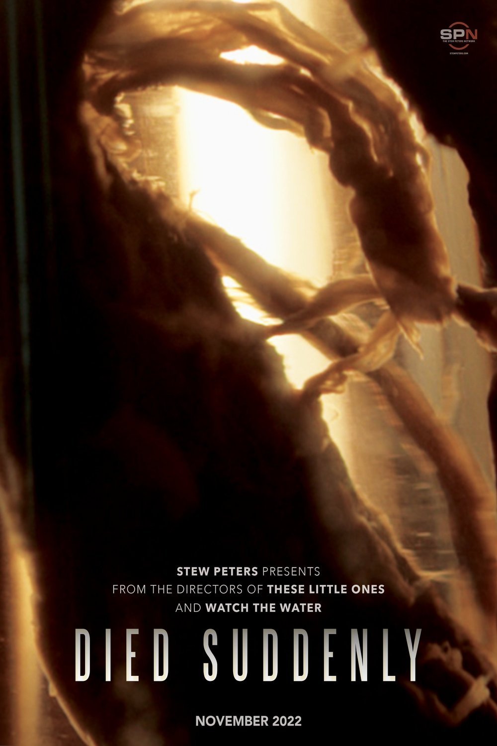 L'affiche du film Died Suddenly