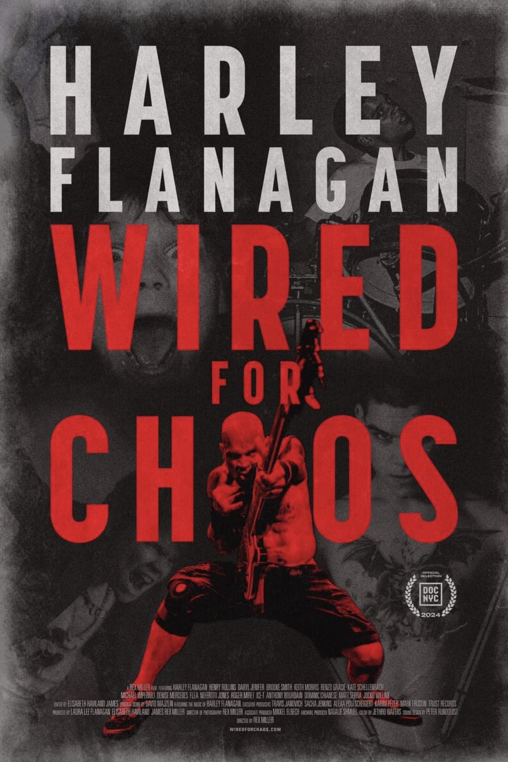 L'affiche du film Harley Flanagan: Wired for Chaos