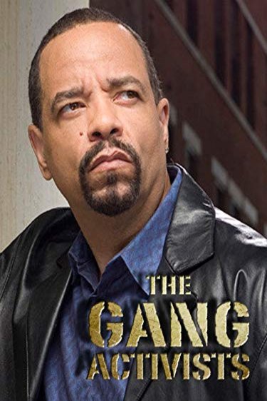 Poster of the movie The Gang Activists