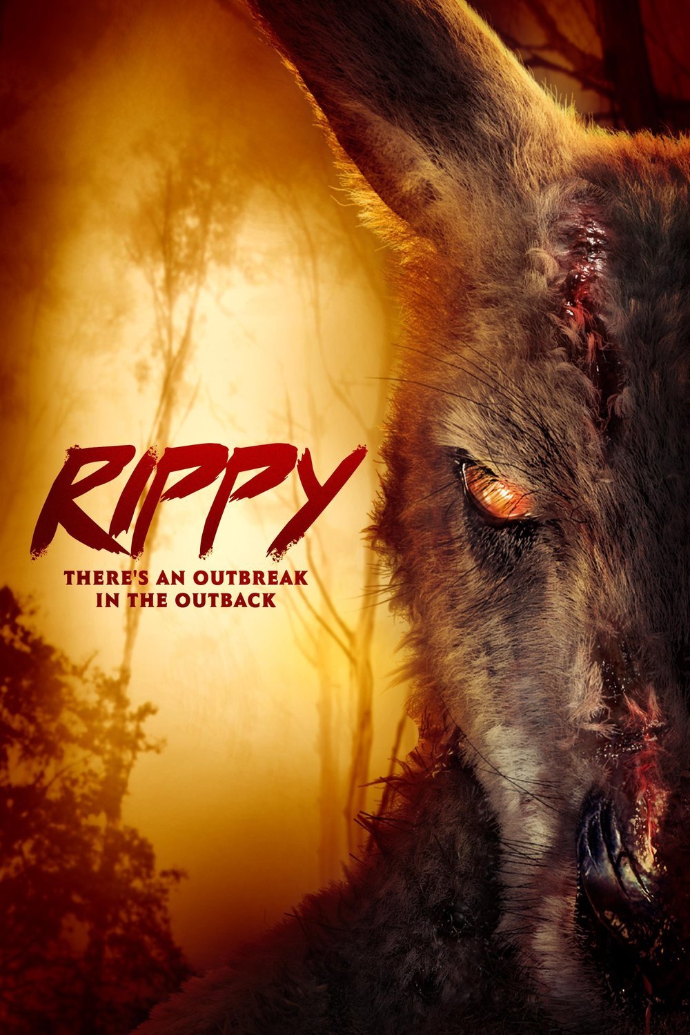 Poster of the movie Rippy