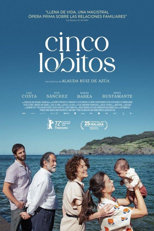 L'affiche du film Cinco lobitos