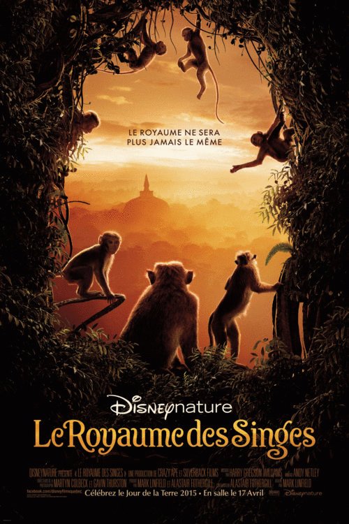 L'affiche du film Le Royaume des Singes