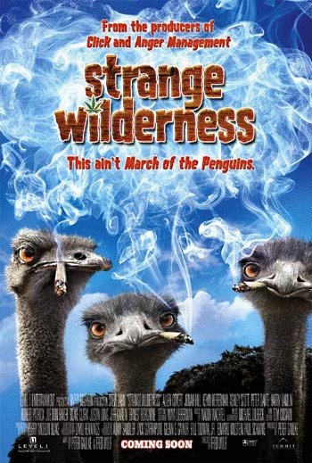 Poster of the movie Strange Wilderness