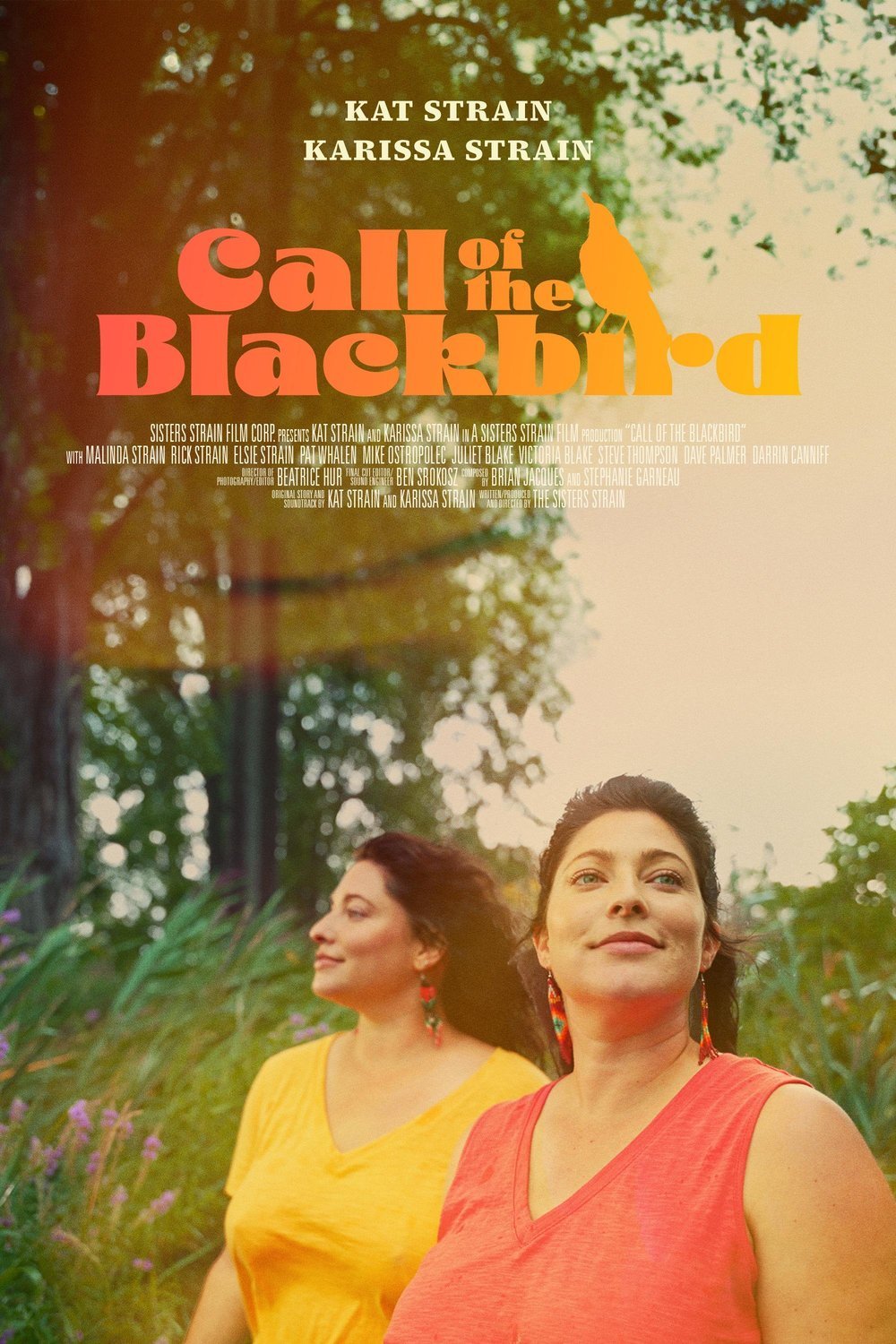 L'affiche du film Call of the Blackbird