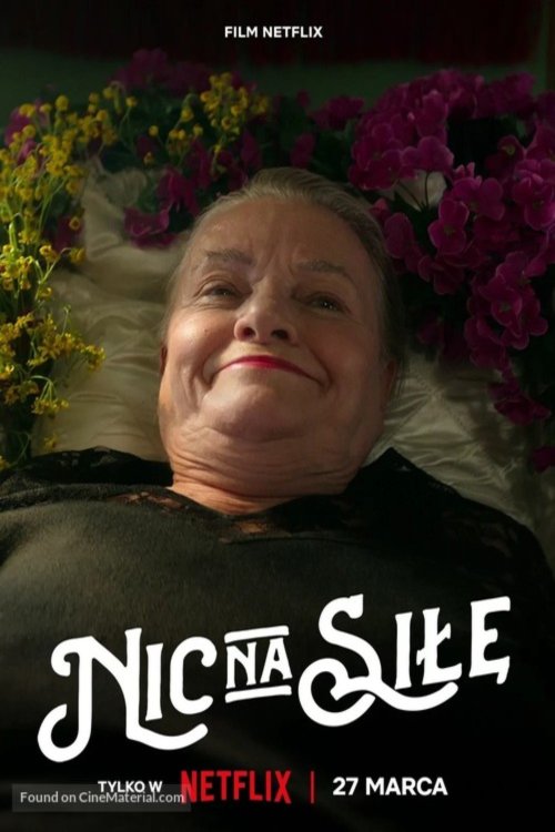 Poster of the movie Nic na sile