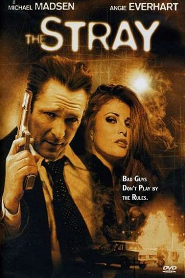 Poster of the movie The Stray