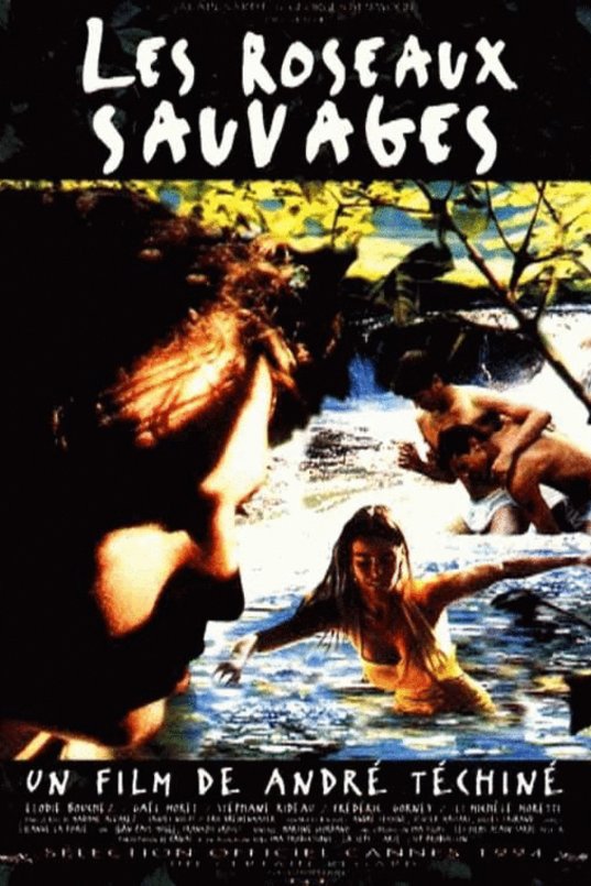 L'affiche du film Les Roseaux sauvages