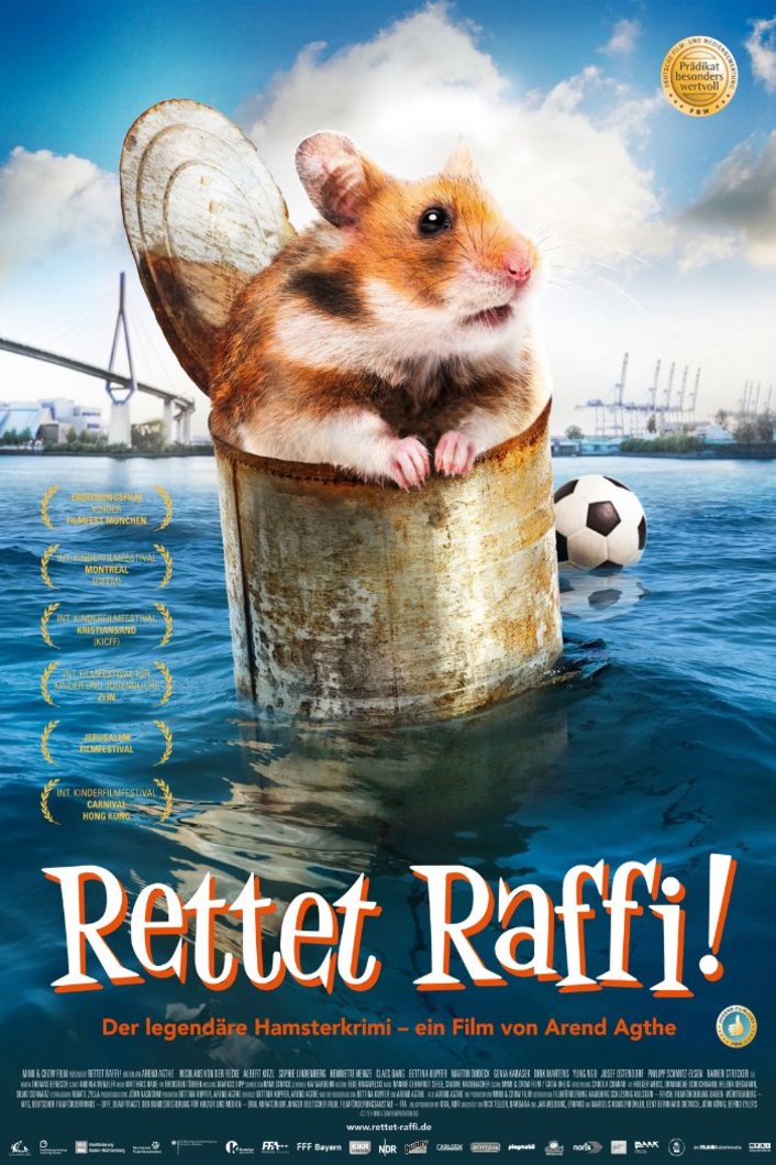 L'affiche du film Mon ami Raffi