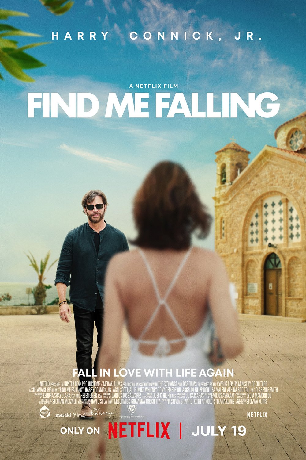 L'affiche du film Find Me Falling