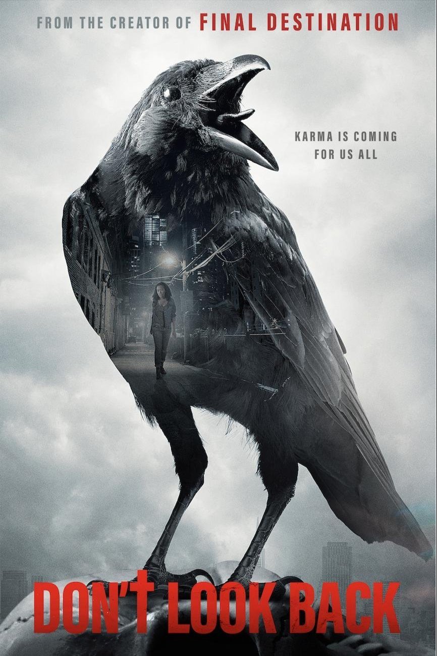 L'affiche du film Don't Look Back